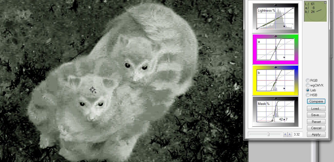 54-lemurs-ss-jpg